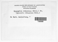 Image Associated With the Occurence
